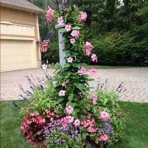 Meet your Posher, Jen